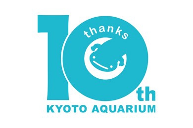 京都水族館「10周年Year」がスタート！